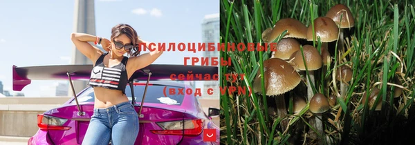 амф Алексин