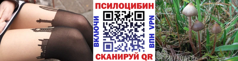 Галлюциногенные грибы мицелий  даркнет сайт  мега маркетплейс  Электрогорск 