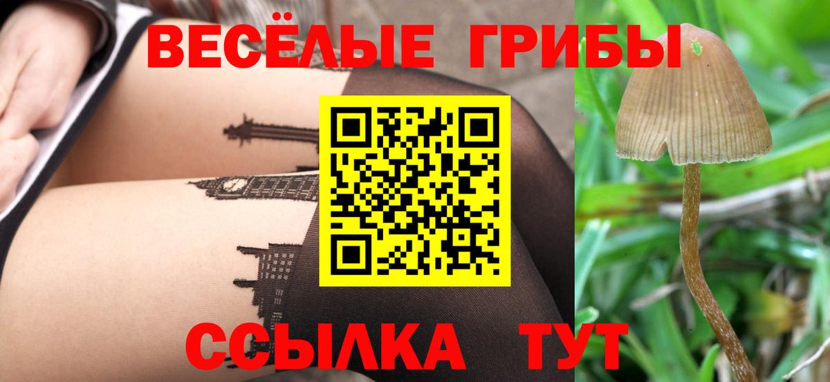 Галлюциногенные грибы мицелий Электрогорск
