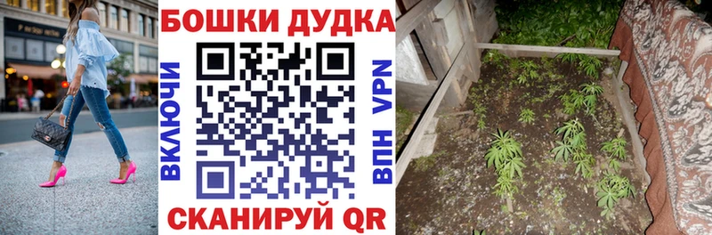 где можно купить наркотик  Электрогорск  hydra маркетплейс  Марихуана сатива 